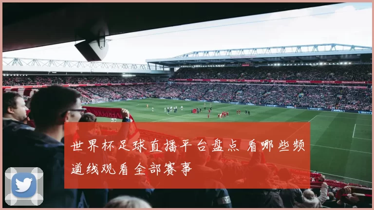 世界杯足球直播平台盘点 看哪些频道线观看全部赛事