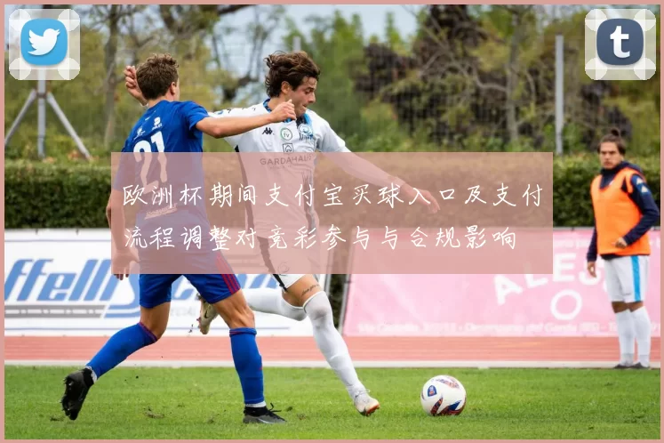 欧洲杯期间支付宝买球入口及支付流程调整对竞彩参与与合规影响