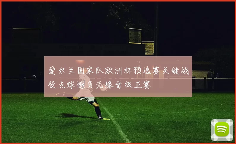 爱尔兰国家队欧洲杯预选赛关键战役点球憾负无缘晋级正赛