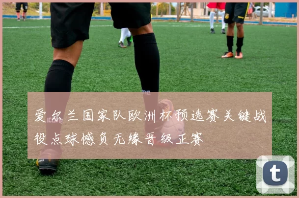 爱尔兰国家队欧洲杯预选赛关键战役点球憾负无缘晋级正赛