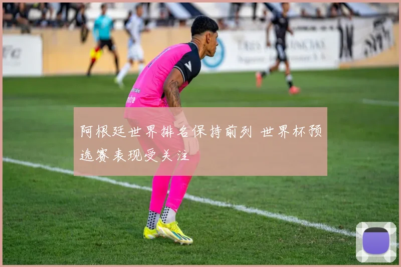 阿根廷世界排名保持前列 世界杯预选赛表现受关注