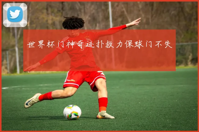 世界杯门神奇迹扑救力保球门不失